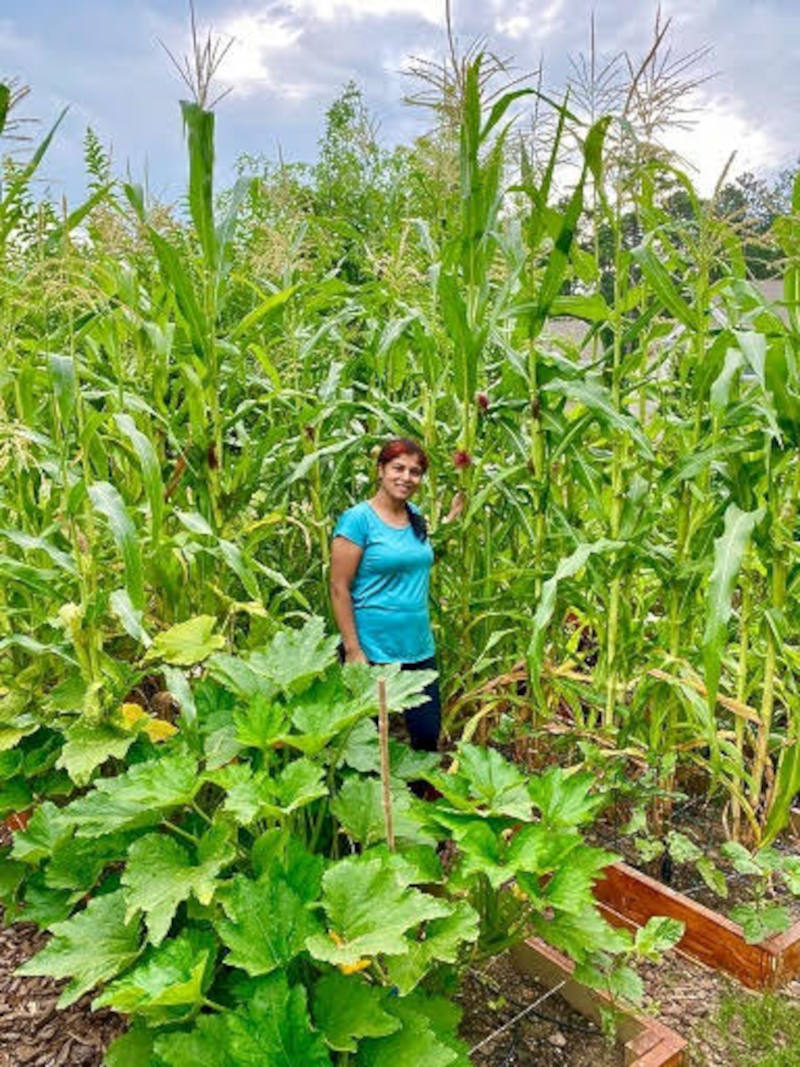 Women posing in the corn field