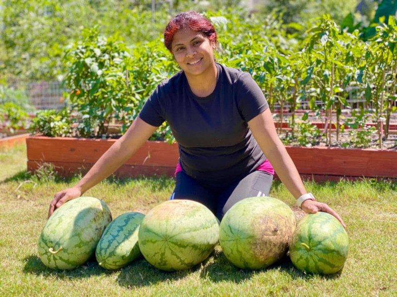 Women displaying freshly picked watermelons