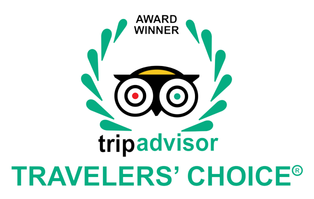 Traveler Choice 2022 award