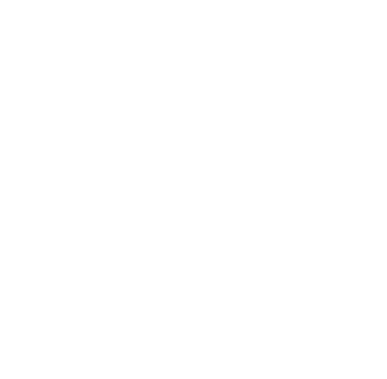 Little Duck Diner Logo Photo