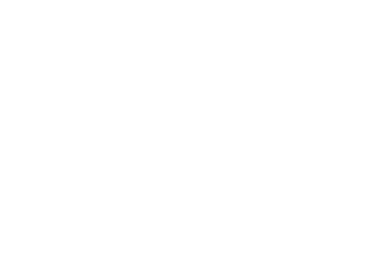 punk location logo