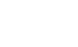 Skyline at Waterplace logo scroll