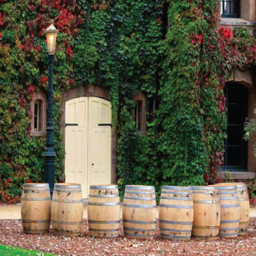 Barrels of wine in front of the cellar