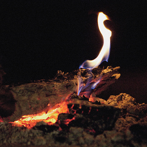Fire with logs closeup