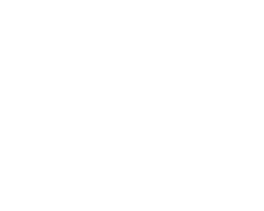 Village Pizzaria - Landing 