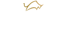 Gauchos Do Sul- Vintage Park logo top
