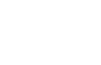 Birdie's logo