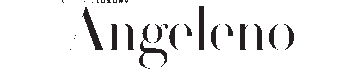 Angelno logo