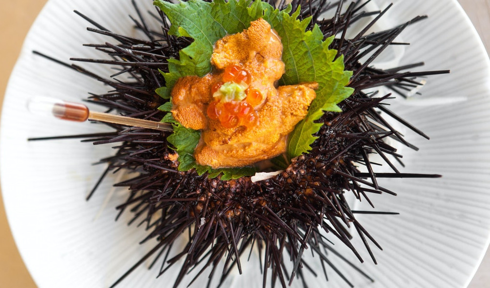 Fresh uni, or sea urchin, served up at Umami. Photos by Chloe Enos