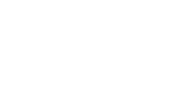 The Levee logo scroll