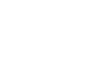 Silkie's Chicken & Champagne Bar logo top