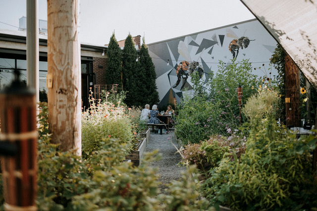 Exterior, people sitting in the garden among many plants