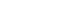 new york logo