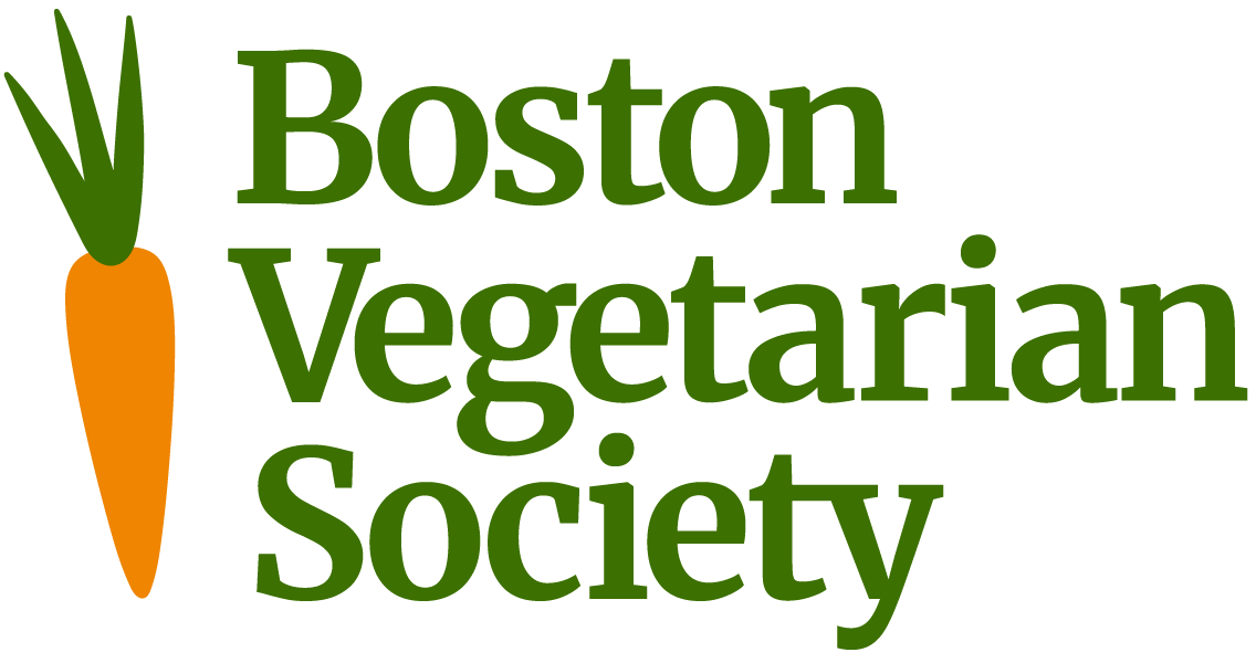 Red Lentil to be Principal Sponsor of Boston Veg Food Fest 2023 on Boston Veg Food Fest