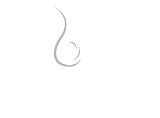 Thaitanium logo top