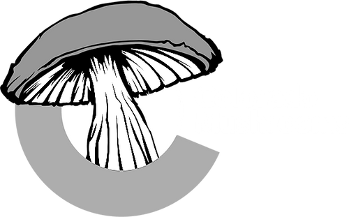 colorado mushrooms logo