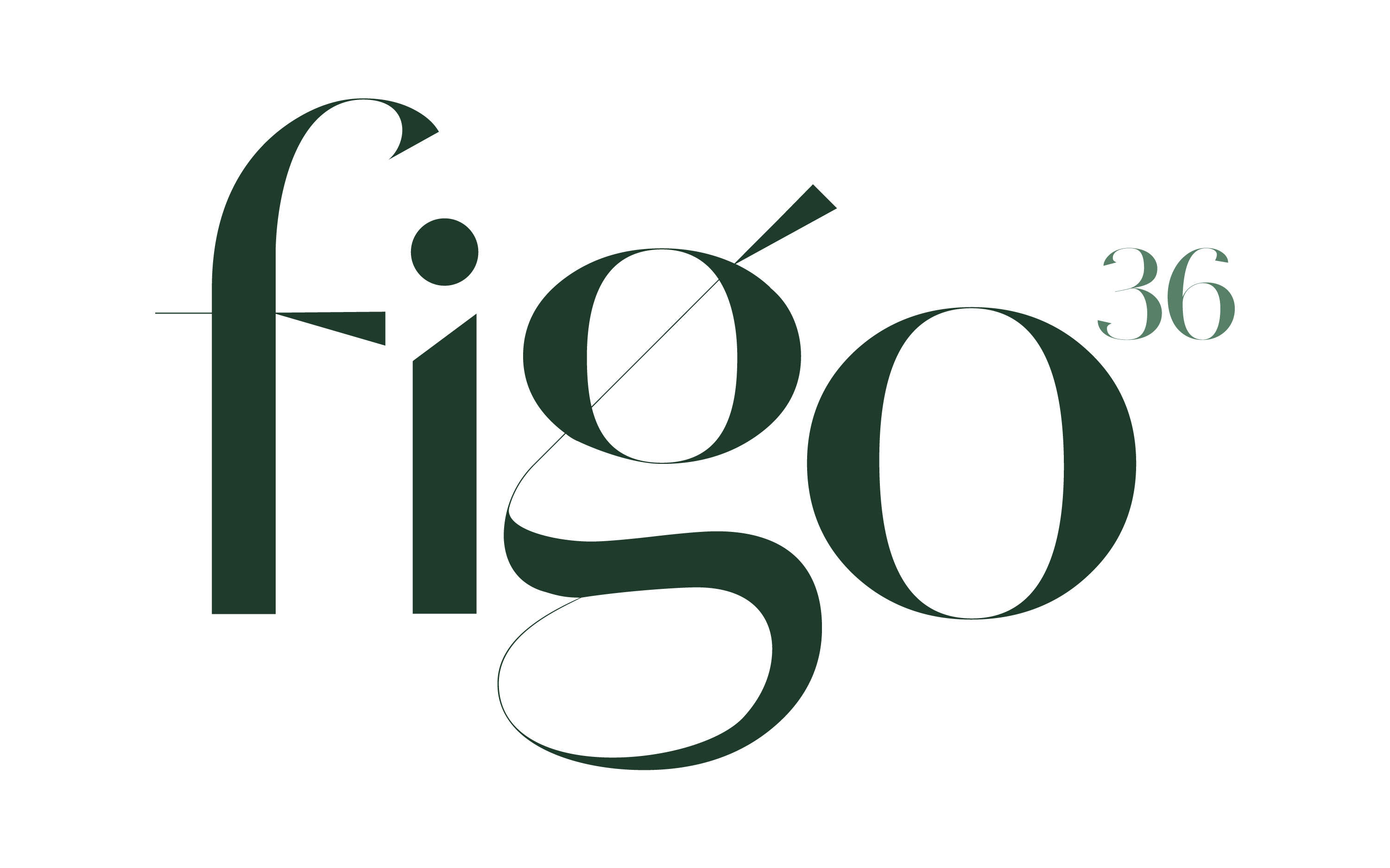Figo36 logo top
