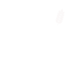 Pipo N Betty's Bakery logo top