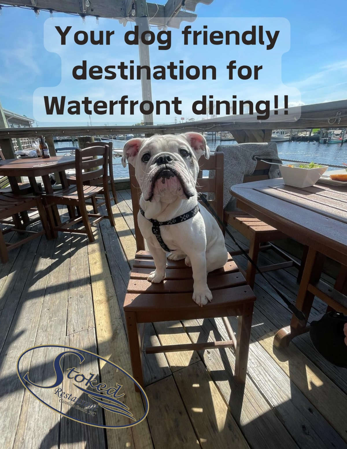 Your dog friendly destination for waterfront dining!!