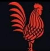 Red Rooster Sports Bar & Grill logo top