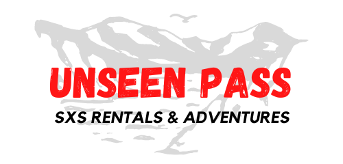 Unseen Pass logo