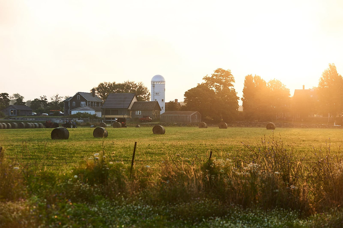 A working roadside farm in Little Compton, Rhode Island.