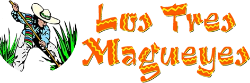 Los Tres Magueyes logo top - Homepage