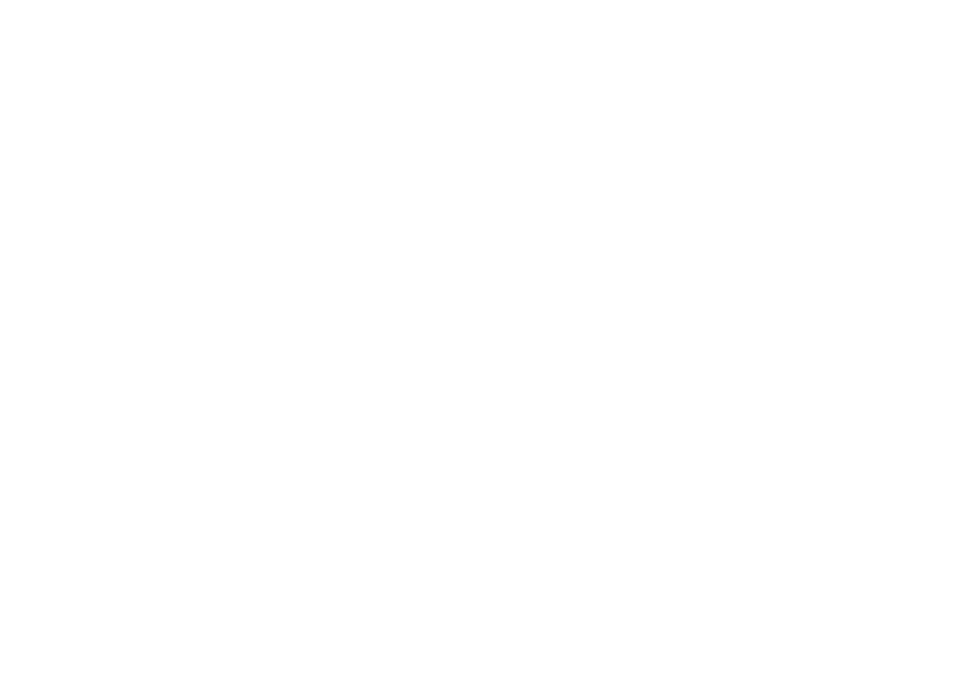 Eleven College Ave logo scroll
