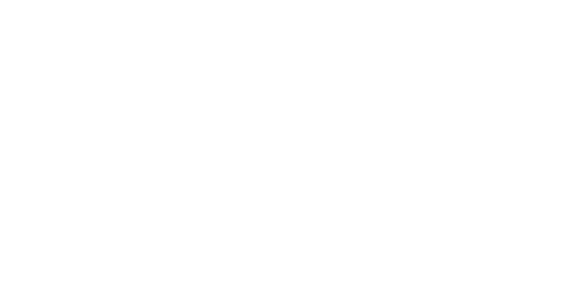 Dundee Tavern logo top