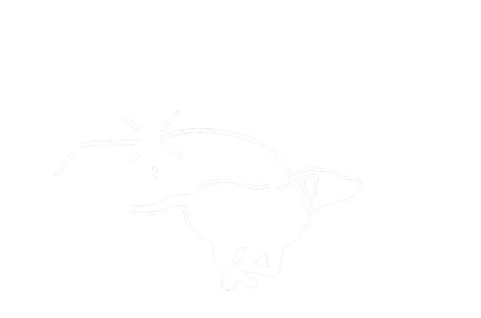 Unleashed Hounds and Hops logo scroll