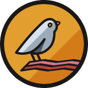 Early Bird  - Papillion logo scroll