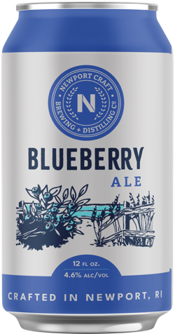 BLUEBERRY beer photo