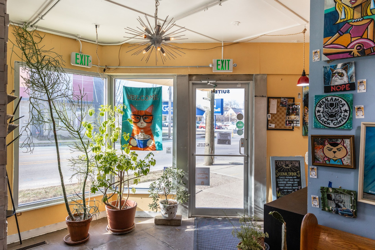 Nine Lives Cat Cafe