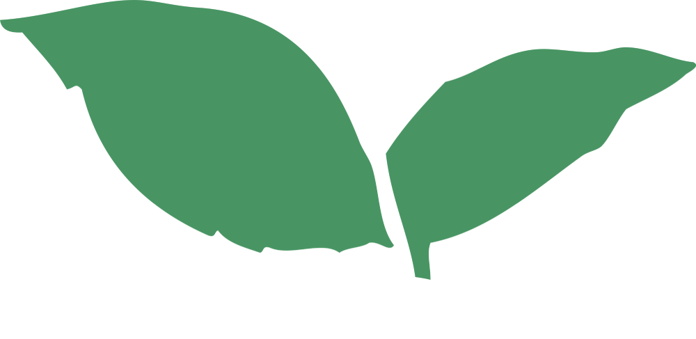 High Branch Brewing logo top