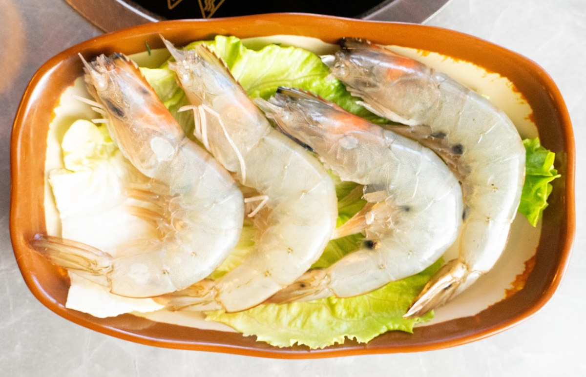Caridean Shrimp