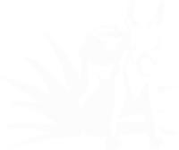 Funchos logo top - Homepage