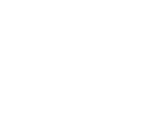 AltaToro logo top
