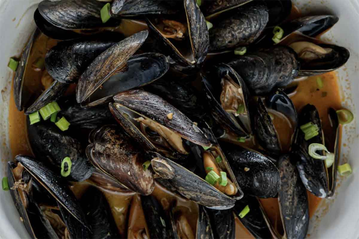 Mussels, in sauce