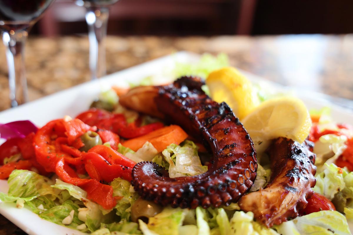 Octopus served with salad