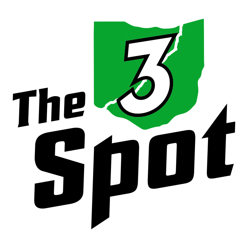 The 3 Spot logo top