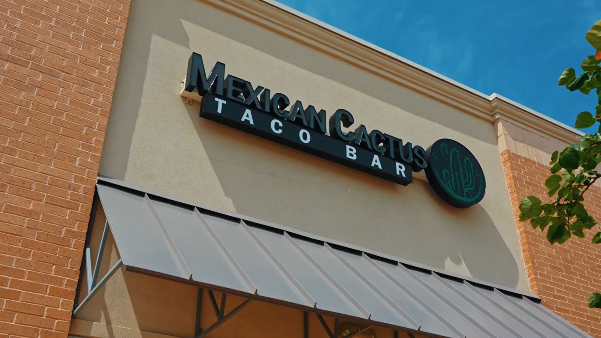 Mexican Cactus Taco Bar - Allen, TX