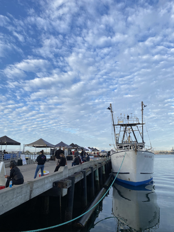 Dockside Fish Seaport Village, San Diego, CA