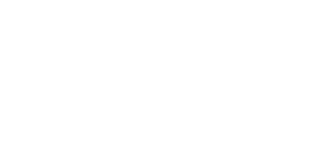 2Toms Brewing - Fishers logo top