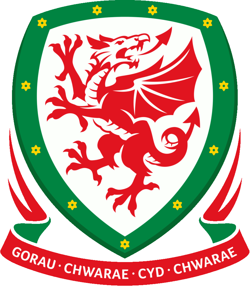 Wales National Team logo