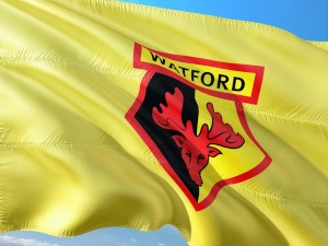 watford logo