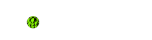 2637brew logo top - Homepage