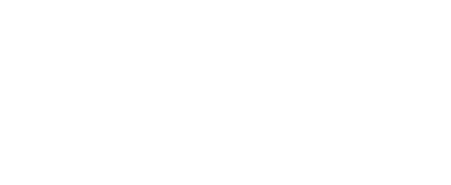 Ancillary* Fermentation logo scroll