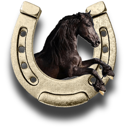 Horse and horseshoe