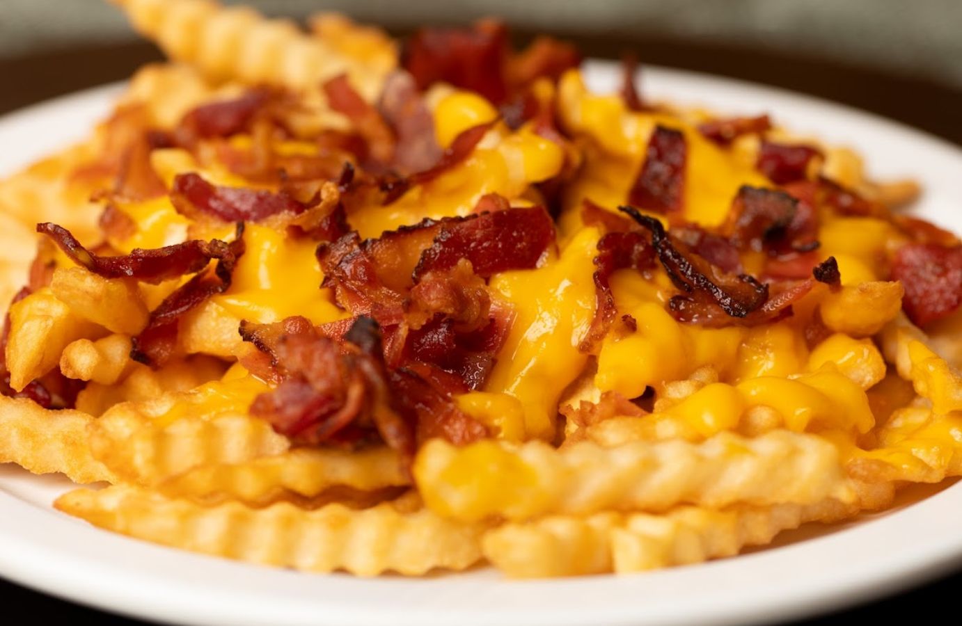 Closeup of a plate with bacon and cheese fries