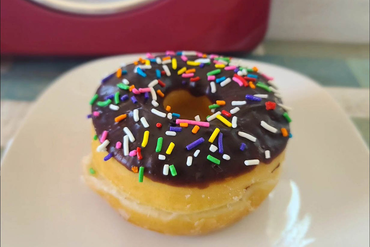 Chocolate Chip DONUT